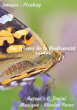  photo 102 biodiversit