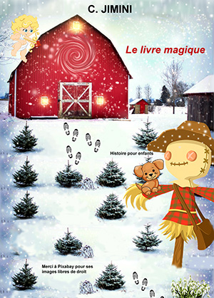  photo 91 Livre magique