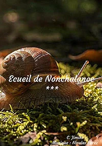 � photo �cueil de nochalance
